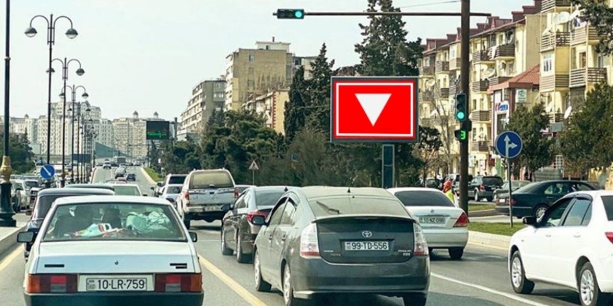 Qurğu Fotosu