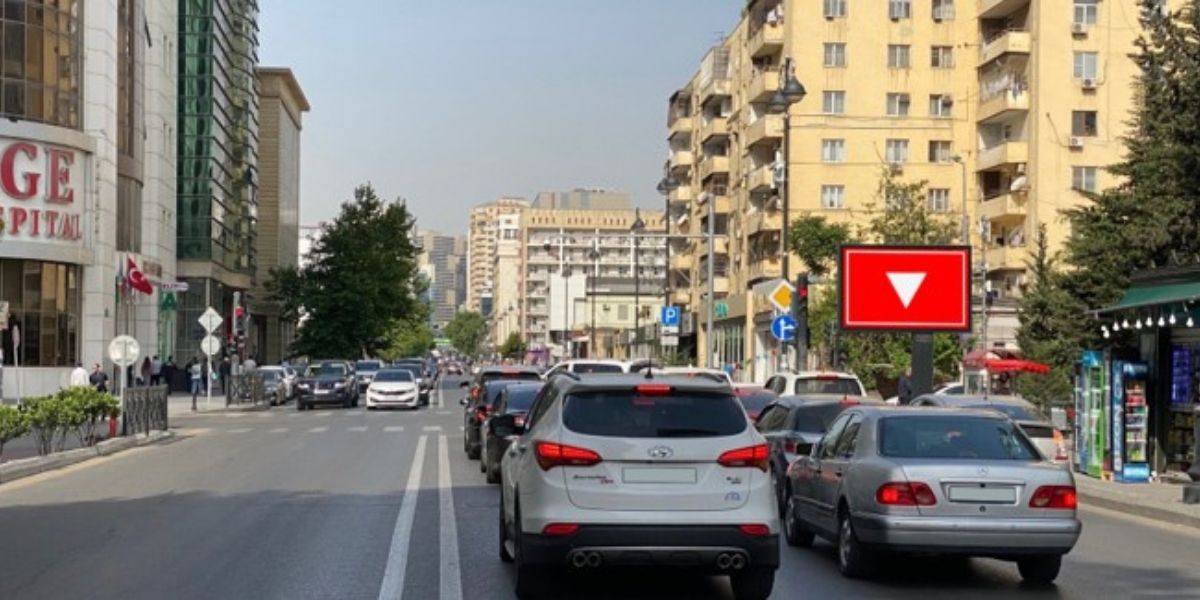 Qurğu Fotosu