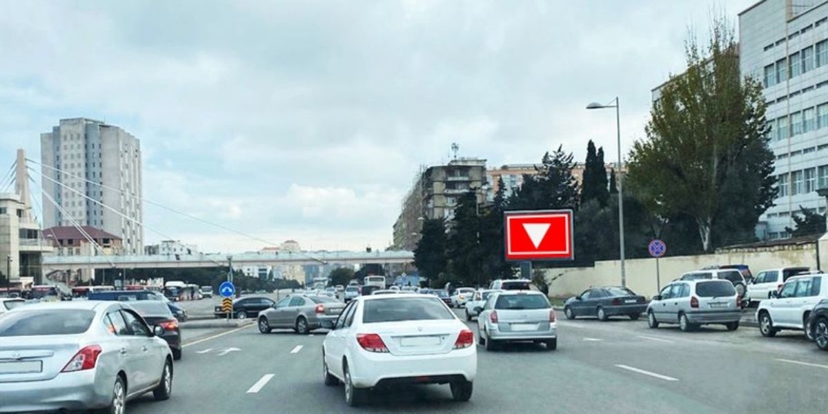 Qurğu Fotosu