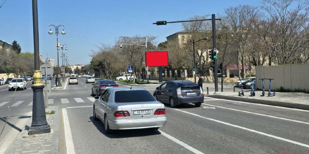 Qurğu Fotosu