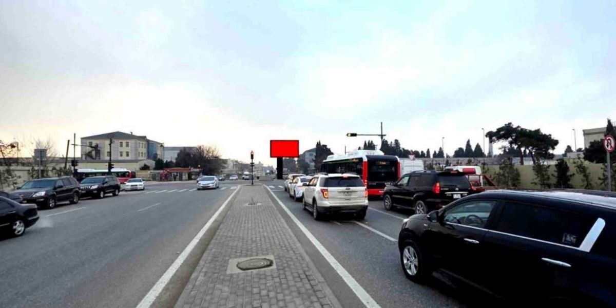 Qurğu Fotosu