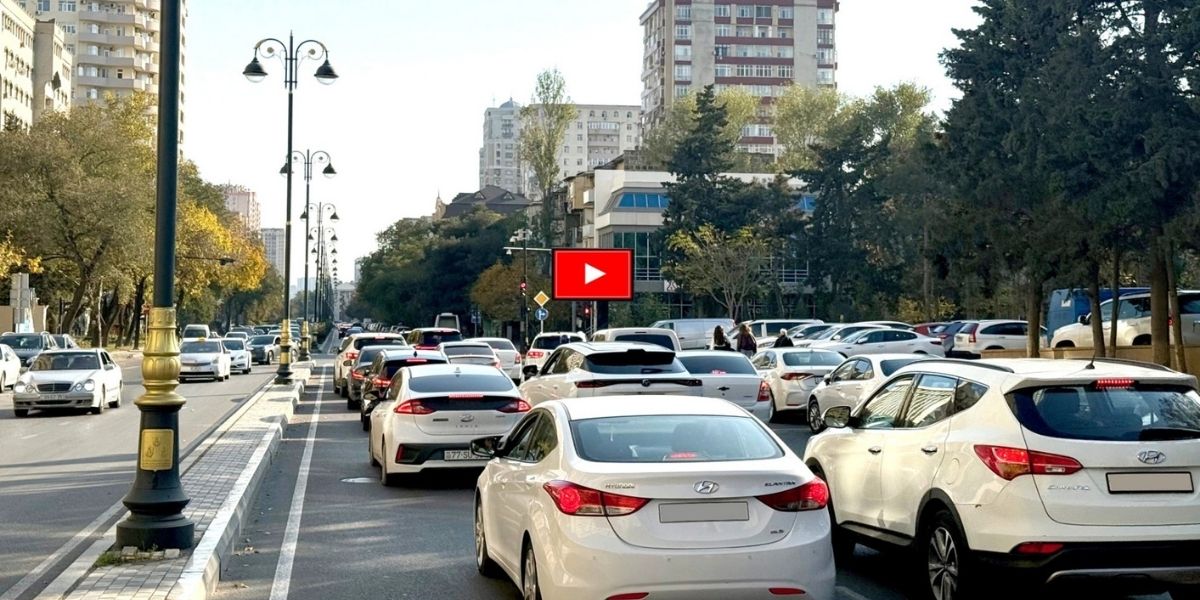 Qurğu Fotosu