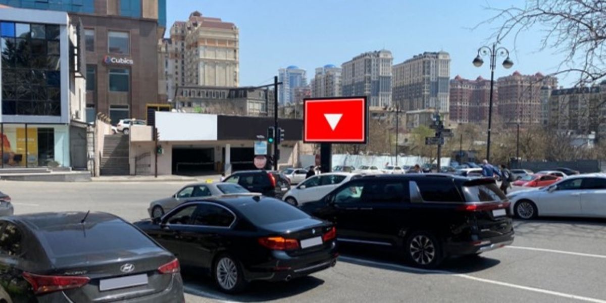 Qurğu Fotosu