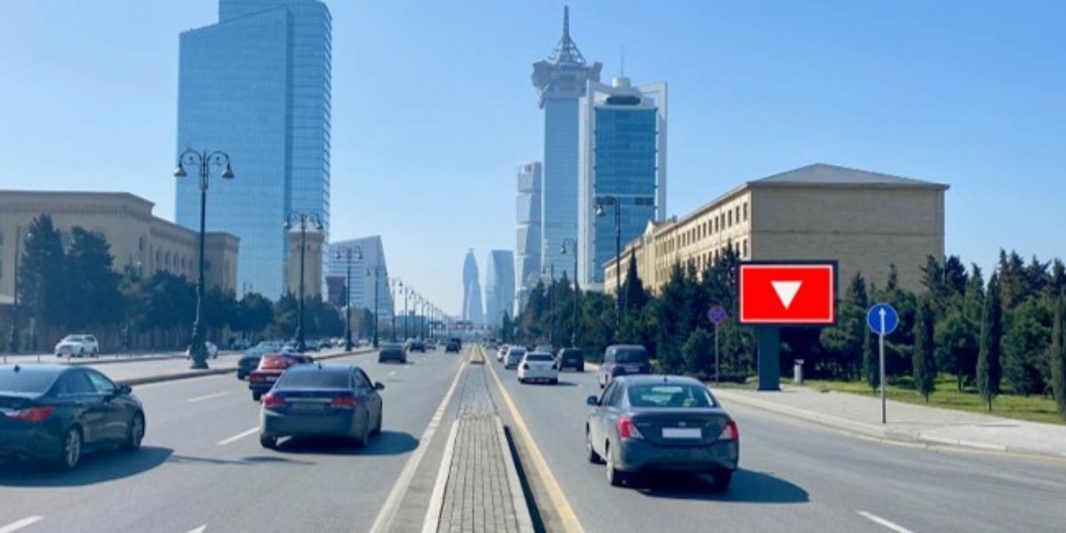 Qurğu Fotosu