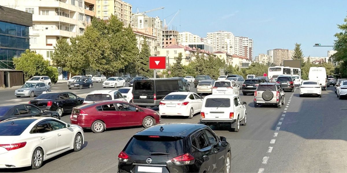 Qurğu Fotosu