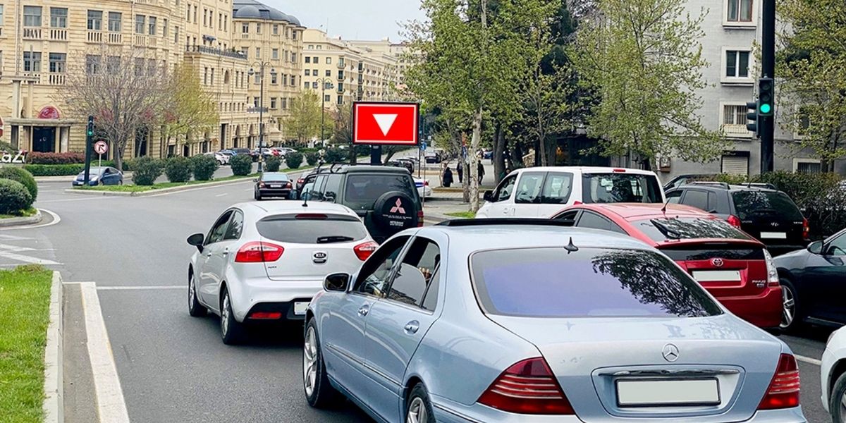 Qurğu Fotosu