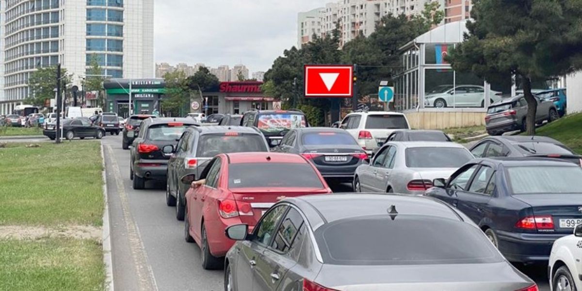 Qurğu Fotosu