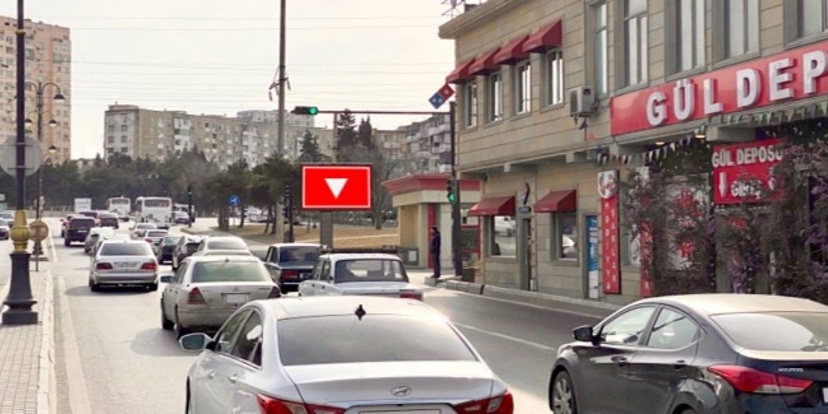 Qurğu Fotosu