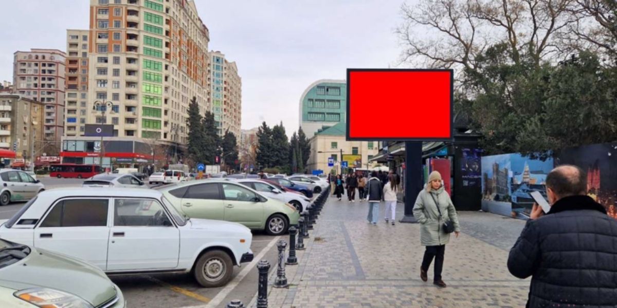 Qurğu Fotosu