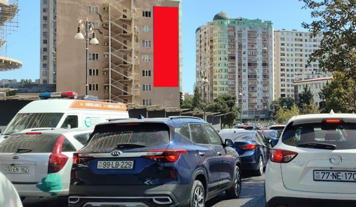 Qurğu Fotosu
