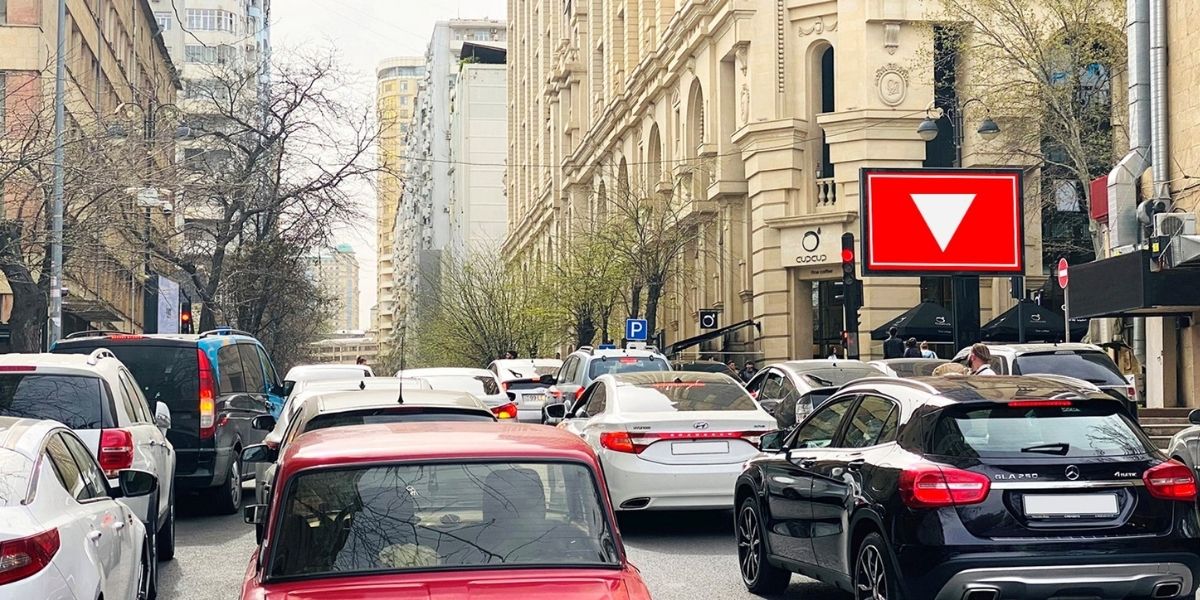 Qurğu Fotosu