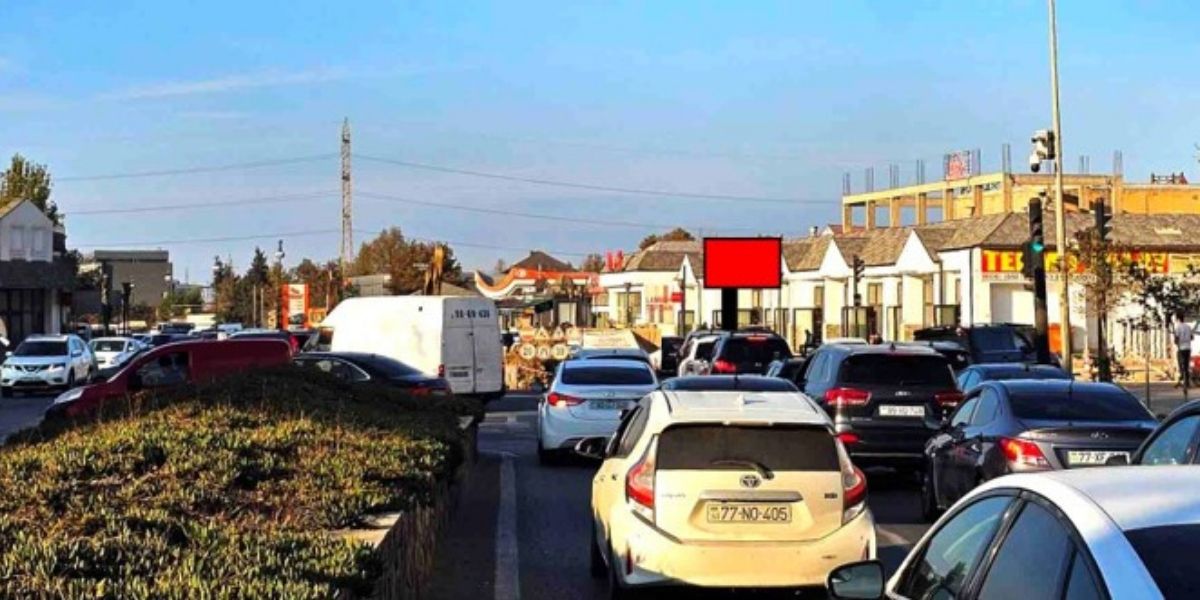 Qurğu Fotosu