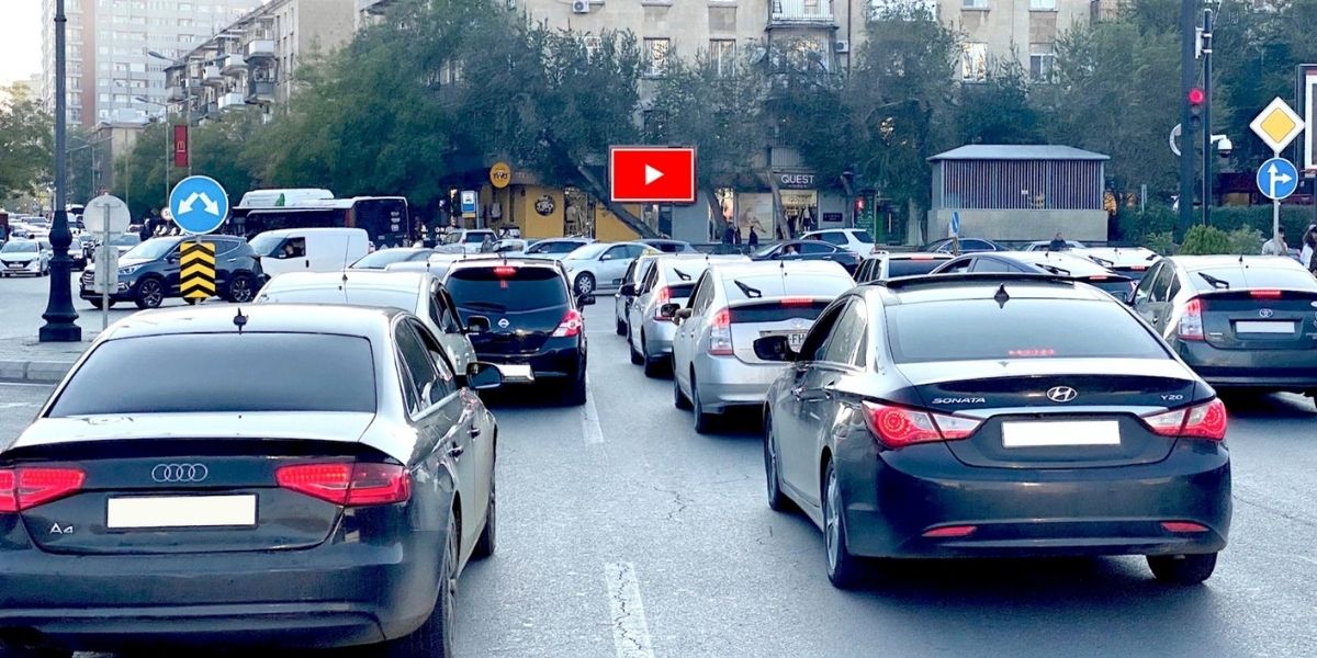 Qurğu Fotosu