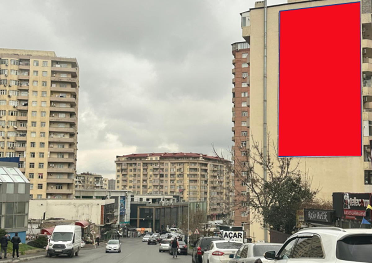 Qurğu Fotosu