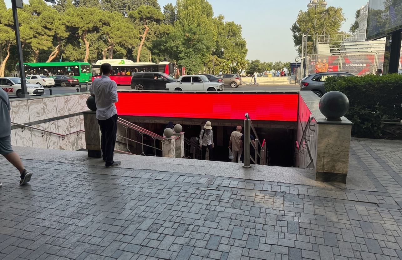 Qurğu Fotosu