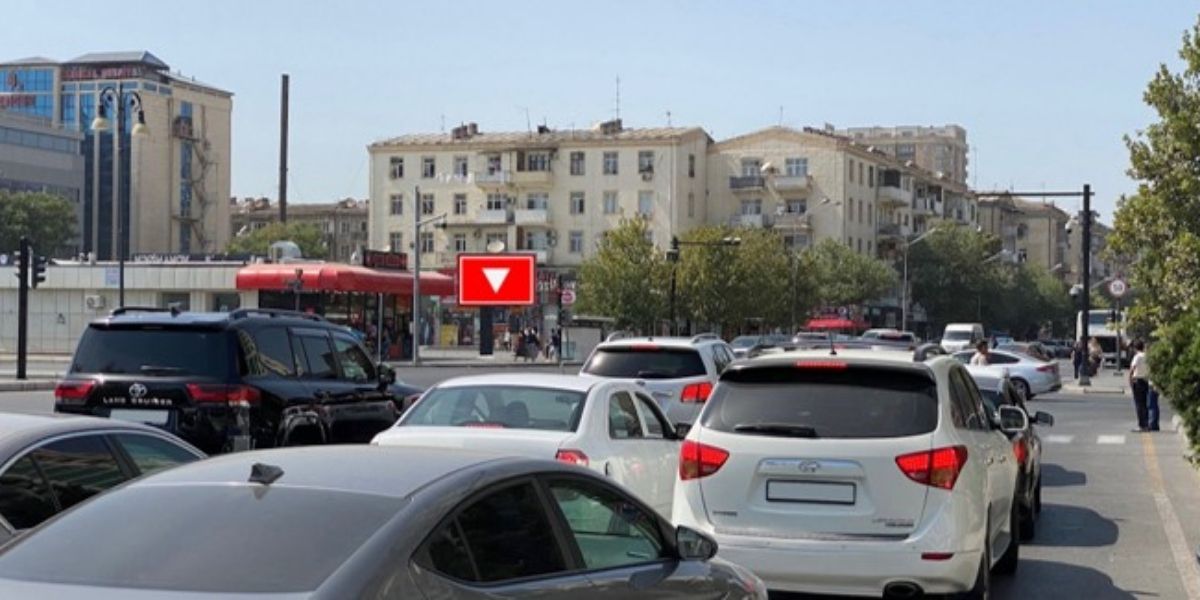 Qurğu Fotosu