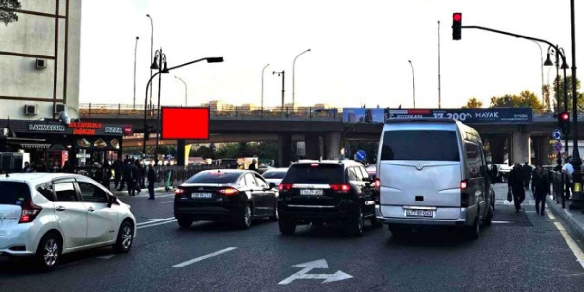 Qurğu Fotosu