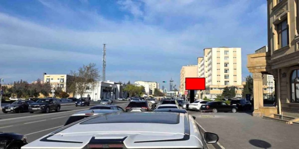 Qurğu Fotosu