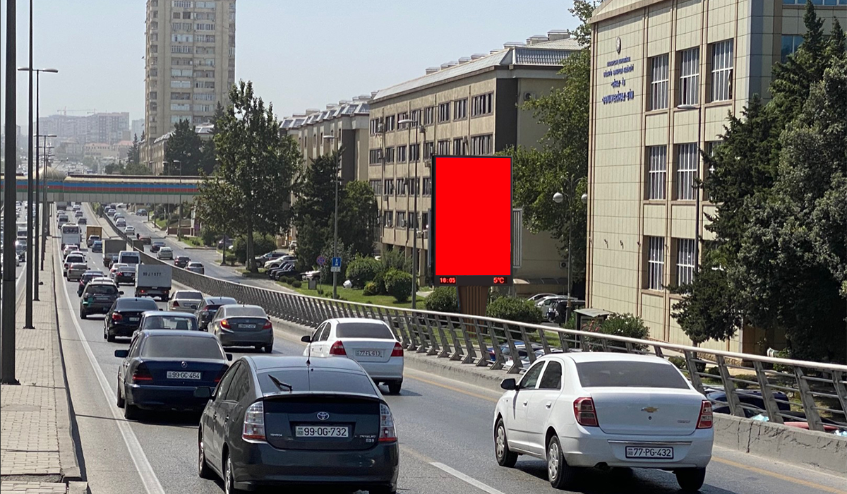 Qurğu Fotosu