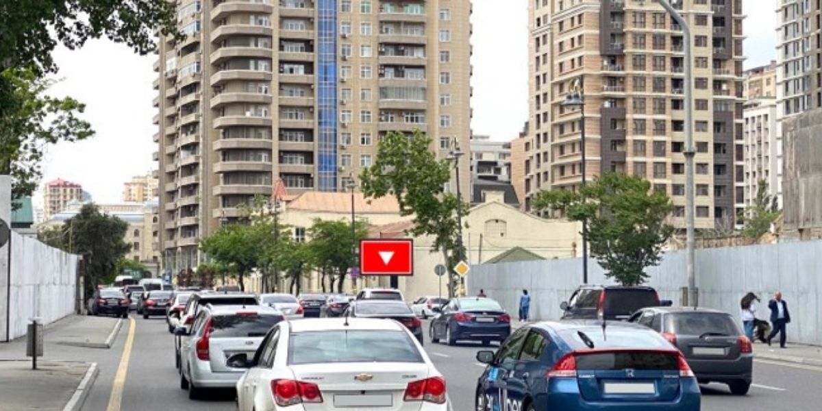 Qurğu Fotosu
