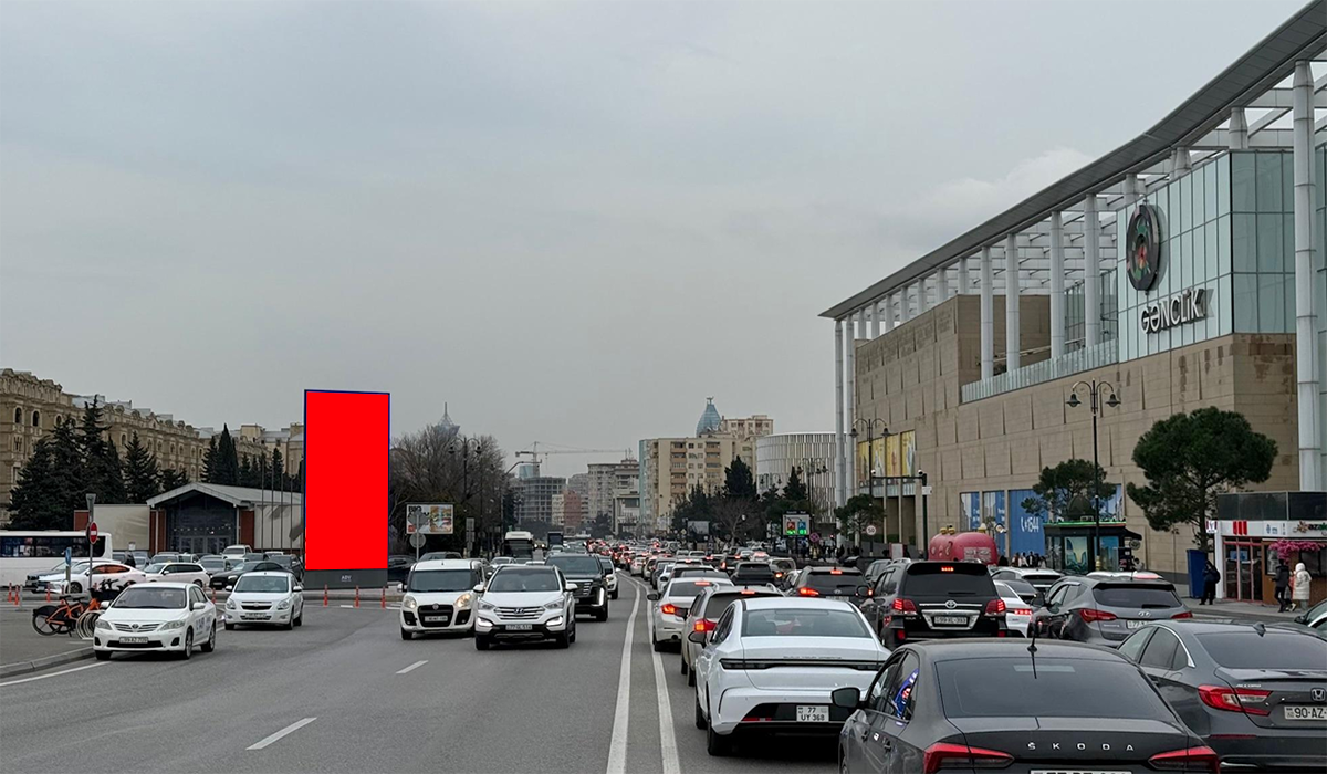 Qurğu Fotosu