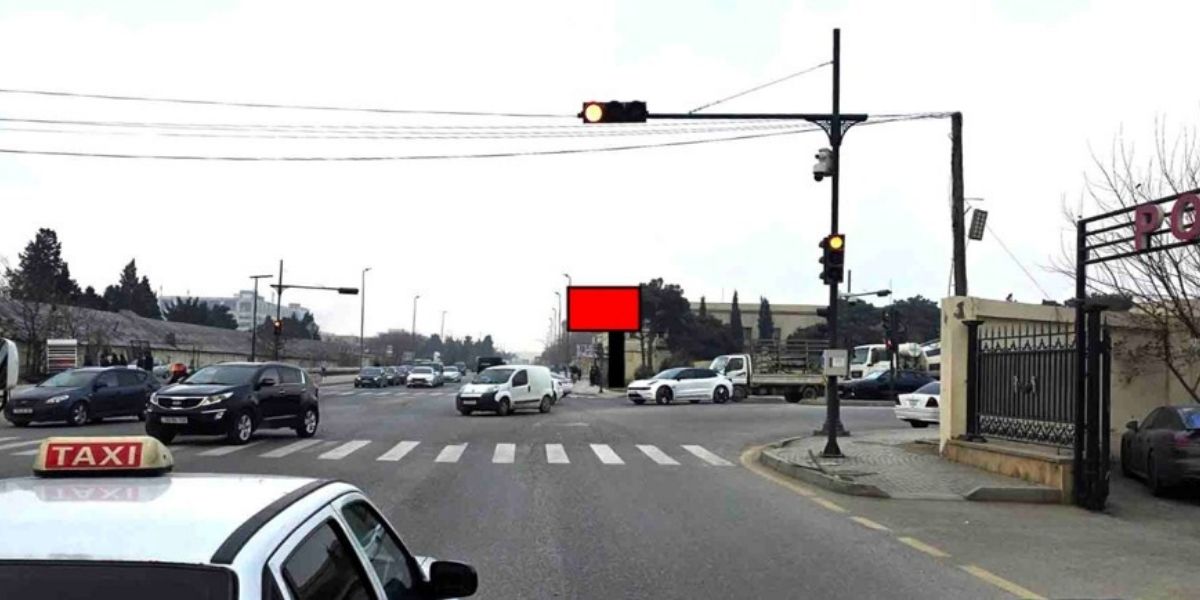 Qurğu Fotosu