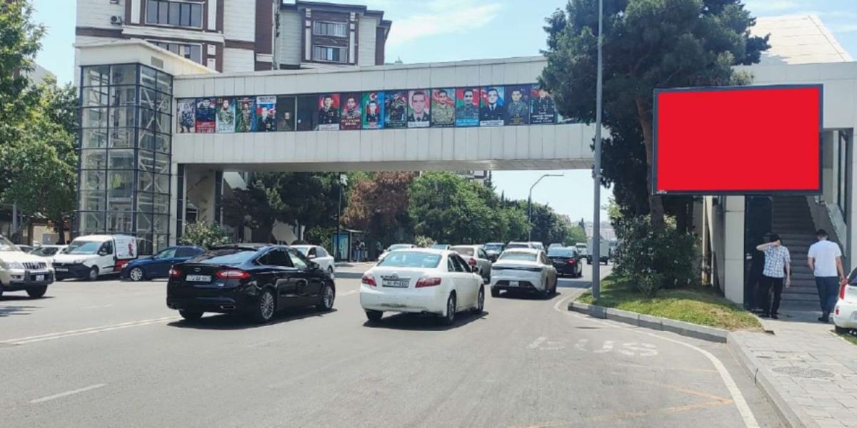 Qurğu Fotosu
